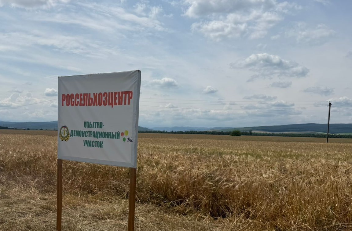 Ингушский филиал продолжает работу по продвижению семян отечественной селекции